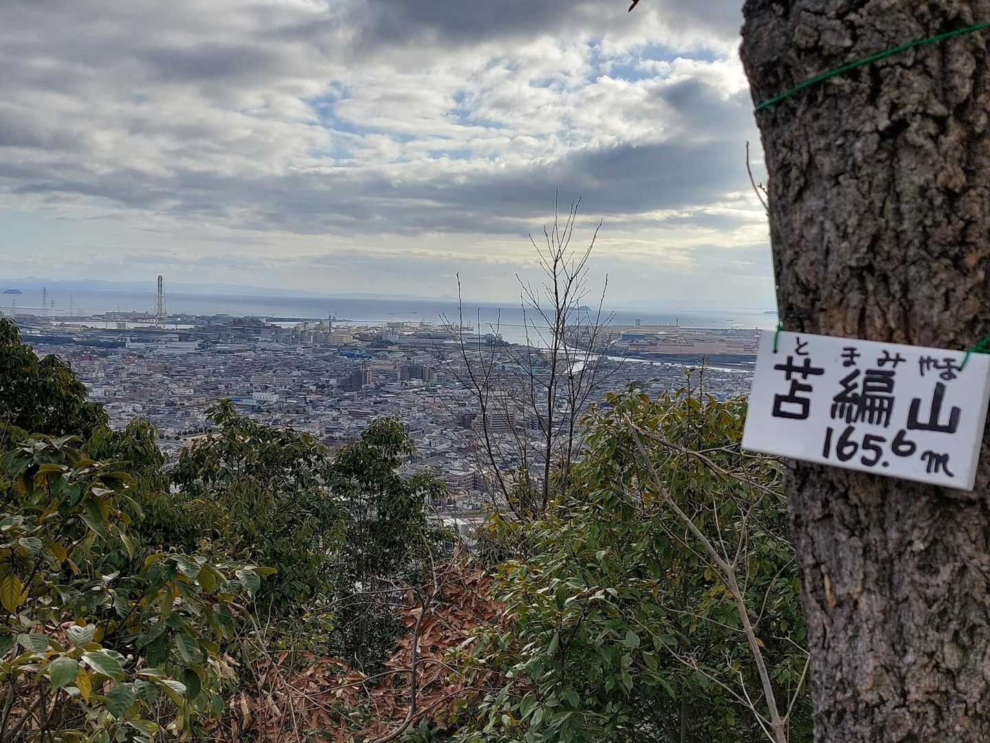 苫編山頂。壇特山、トンガリ山とほぼ同じ標高だ。