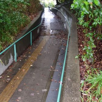 この手すりを乗り越えて、あがったら、行きやすかったようだけど、それは気づきにくいな～。
