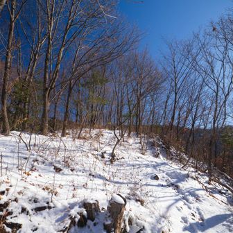 明るい遊歩道だ