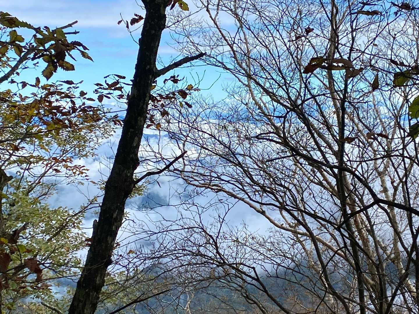 浅間隠山登山口-浅間隠山-二度上峠-氷妻山 周回コースの写真