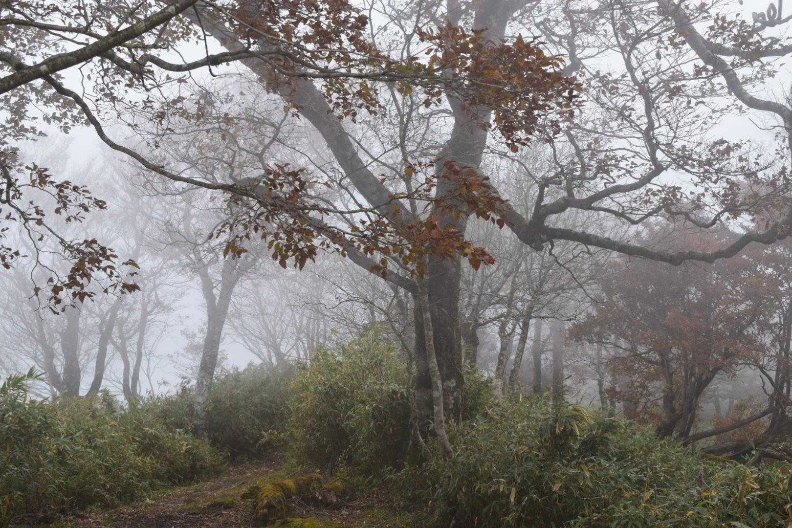 さてソロで戻りますよ。