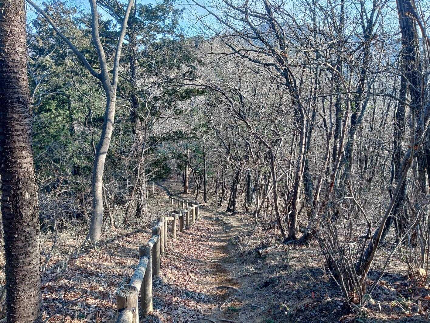 さ！まだまだ始まったばかり💦
寝釈迦さまを楽しんだら先に進みましょ！