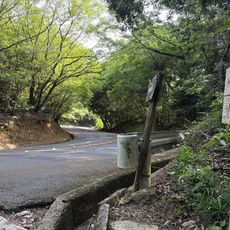 標識は左だが右