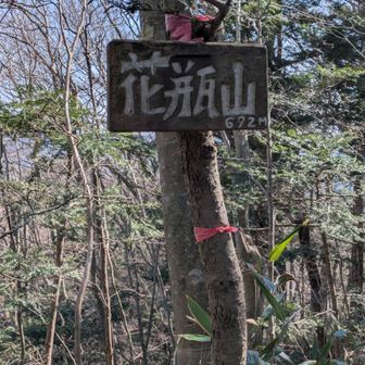 花瓶山山頂、展望なし、軽食を取る、小休憩。
反時計回りの2名も到着、小休憩。
山頂付近の落葉、そんなに濡れていない、前日の雨はそんなに降らなかったのか、ゲ一トル外す。