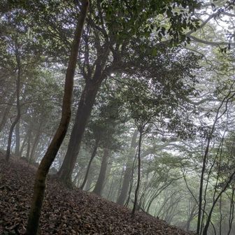 この雰囲気も良き｡｡｡