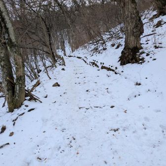 雪の中から、登山道の階段が少しだけ顔を出しています。チェーンスパイクをつけた靴底の感覚を確かめつつ。