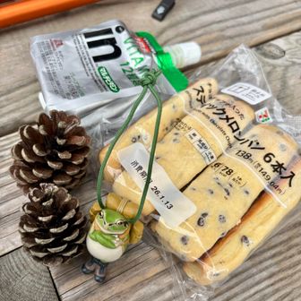 ｶｴﾙさんとともに休憩🍈