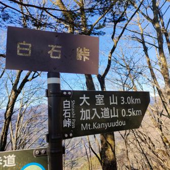 加入道山→大室山に向かいます