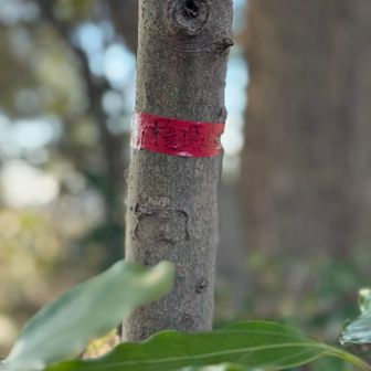 権現山山頂の手書き印