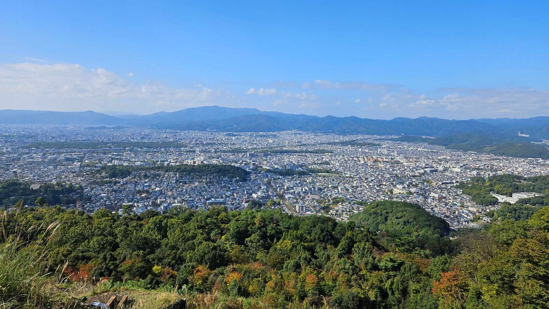 少し色付いてますかね⁉️