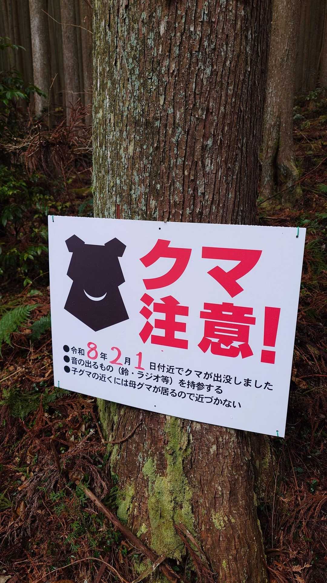 真富士山-富士見岳-駒引峠 周回コースの写真
