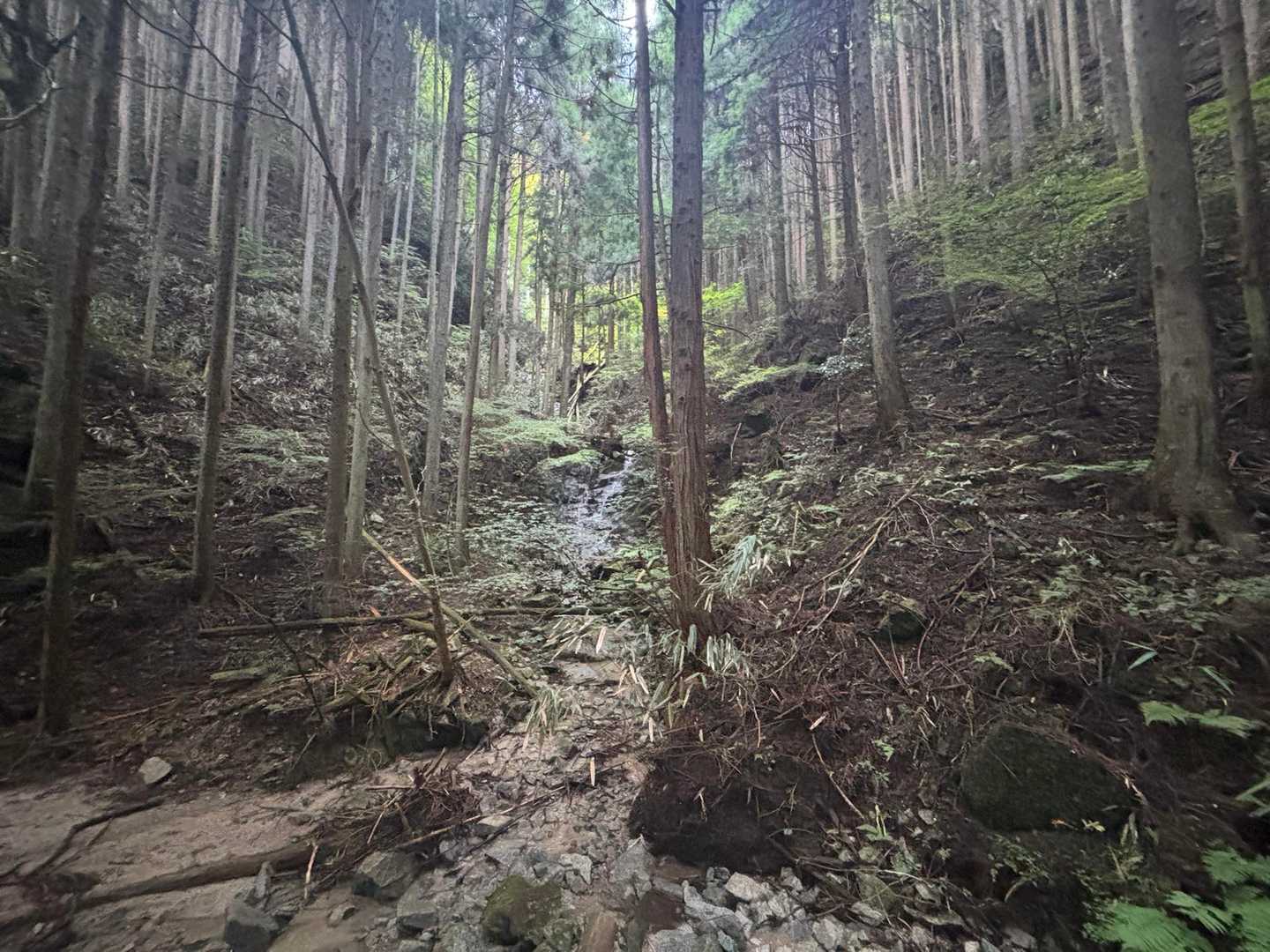 寺谷ルート付近の滝です