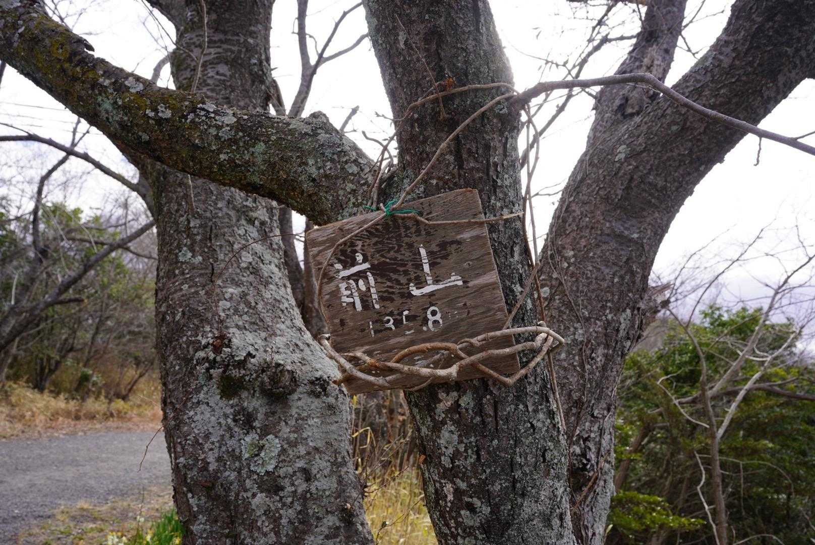 二座目。分かっちゃいるけど下がります。