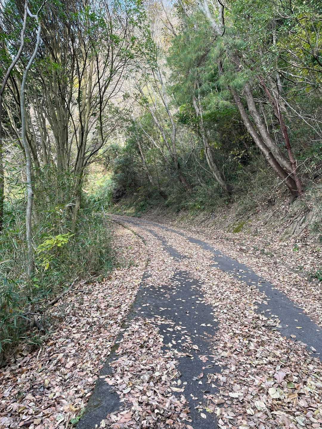 車道で山腹を回り込む