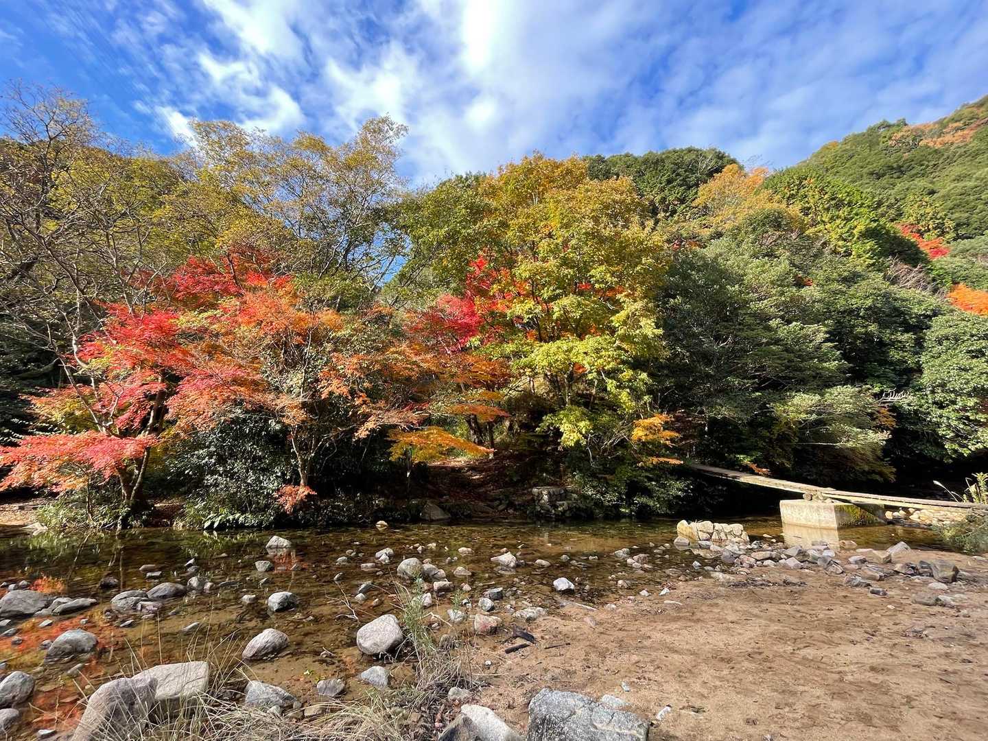 新神戸駅-滝山城跡登山口-摩耶山-摩耶別山-杣谷峠 縦走コースの写真