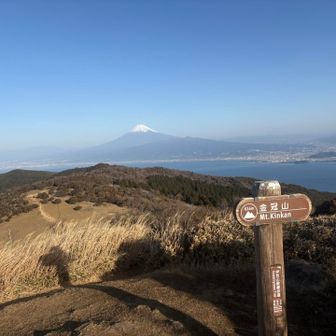 金冠山からの富士山🏔️