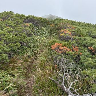 東峰に向かいます
