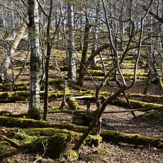 お昼食べて駐車場に戻っておしまい
今回もいい山歩きでした👍✨