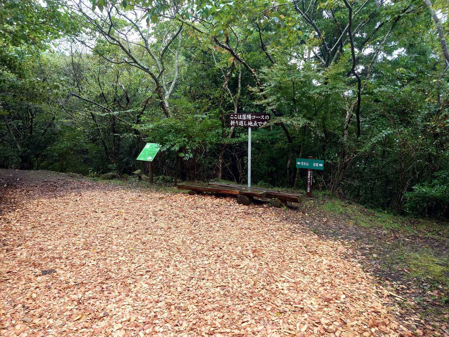 落陽コース折り返し地点
かなり探しましたが、「高嶺の花（タカネハンショウヅル）」は、見つからず(ヽ´ω`)
今年は、もう終了しているようですね。また来年！
※私が見つけられなかっただけで、今が見頃のようです！！！10/10追記