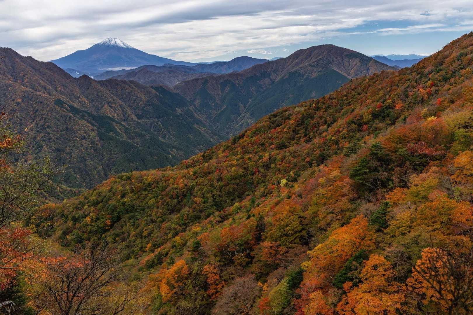 姫次から少し下った所に展望スポット
左から富士山・御正体山・大室山