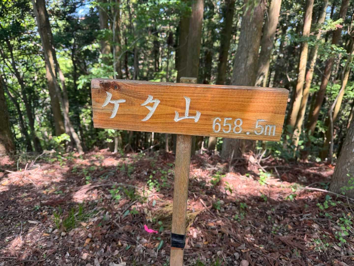 二座目のケタ山登頂⛰️‼️

ここまで比較的緩やかでした‼️
眺望はありません🤣