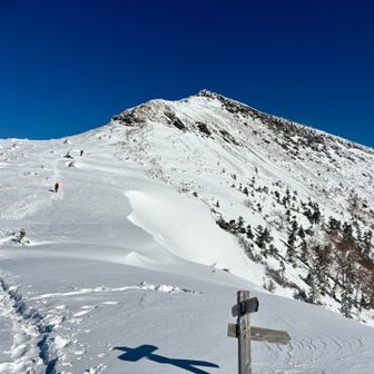稜線に出ると爆風でしたが
景色は最高！
