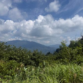 貝月山・鍋倉山
