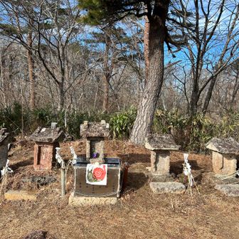 山の神様たちに手を合わせる🙏