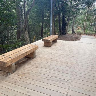 休憩場所多数、さすが高尾山