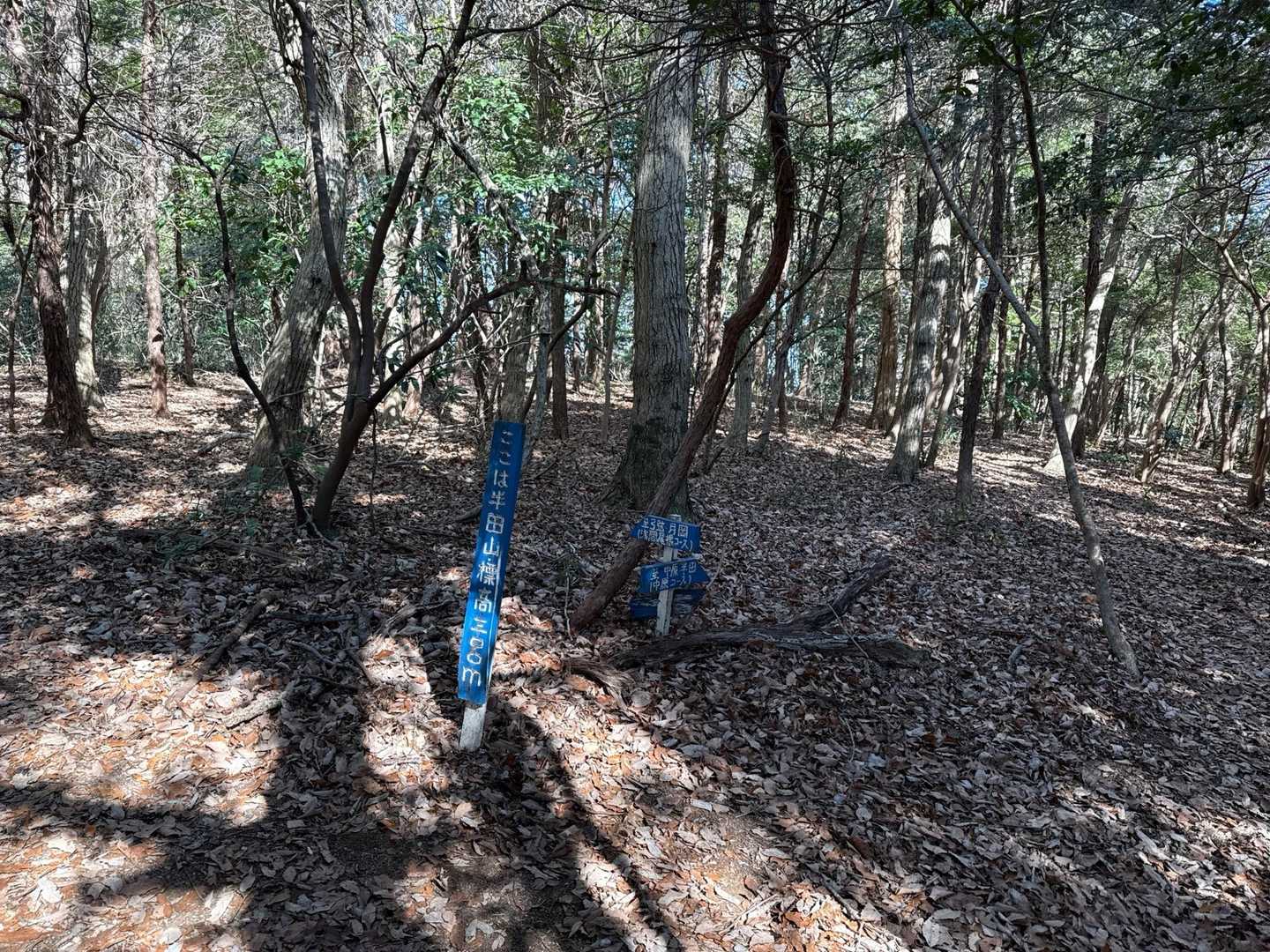 半田山到着
ここは初登頂です
眺望はありません