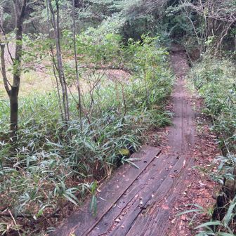 湿原もあって散策にはもってこいですね。