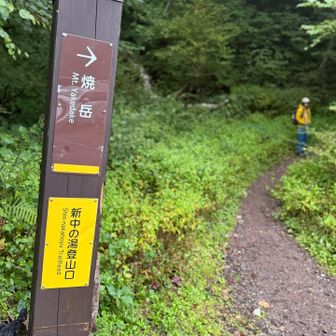 ここに駐車場もありますが、わずか10台ほどでした。路肩に駐車されている車もありましたけど…