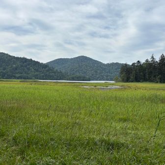 尾瀬沼の横を山歩 🎶💚