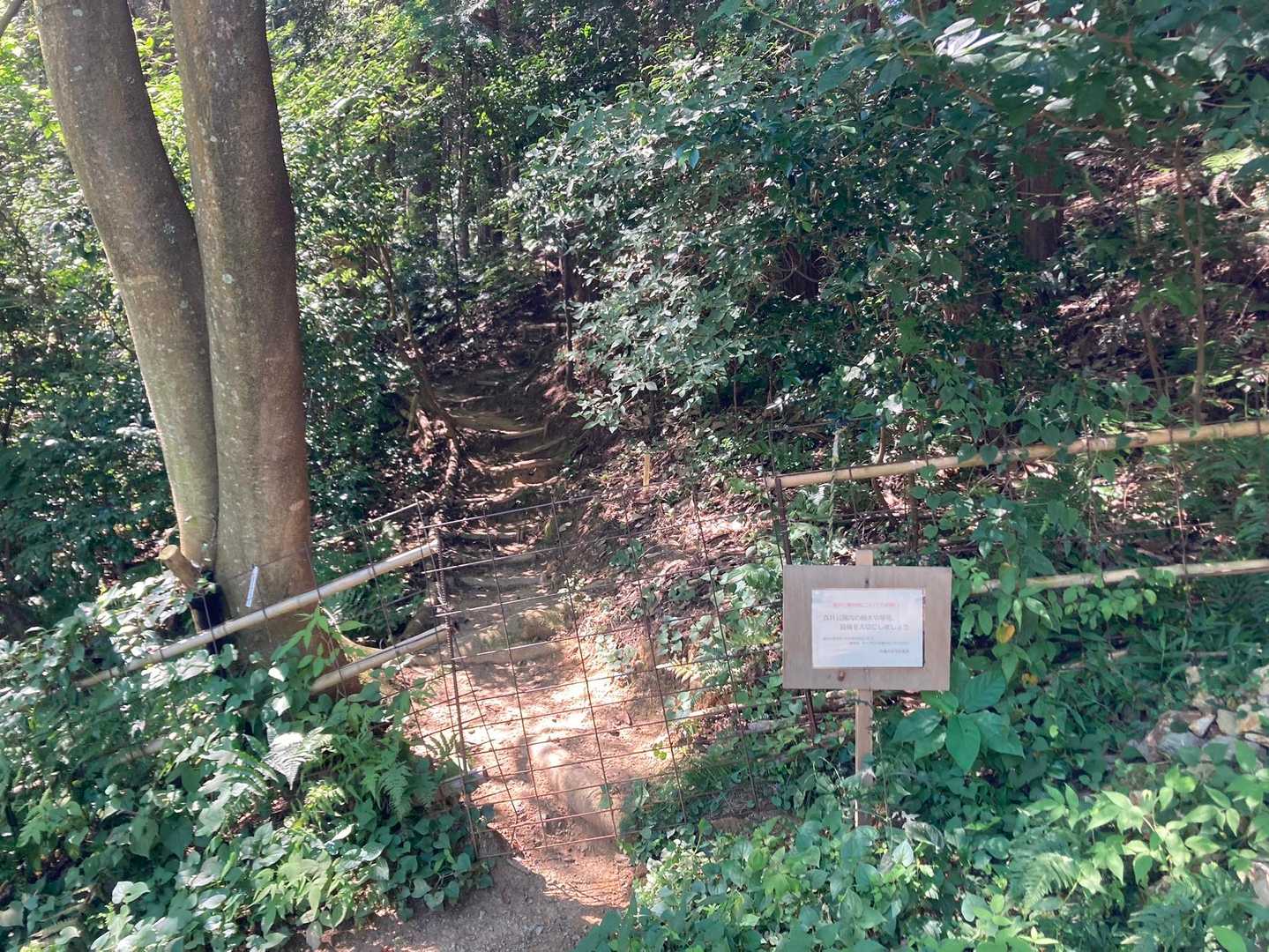 登山口