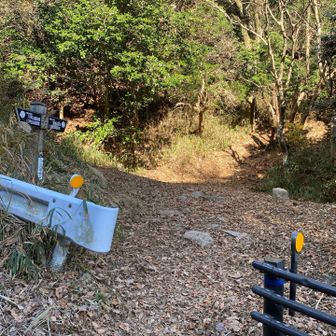 ココで小休憩…🍵