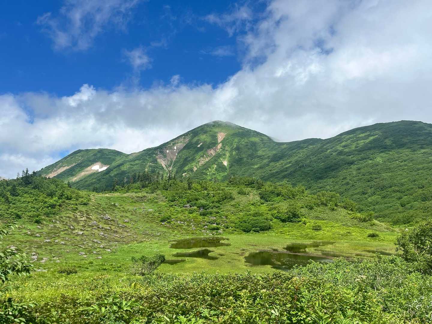 火打山 往復コース | 天狗の庭の湿原と花、CNNも選んだ「天上の楽園」への道の写真