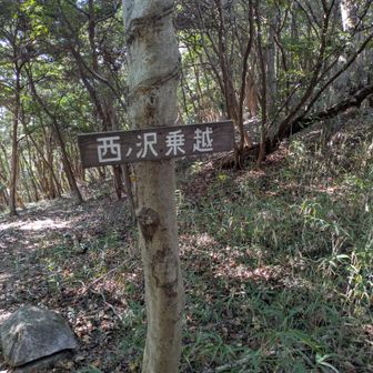 西ノ沢乗越　小茶臼に向かいました