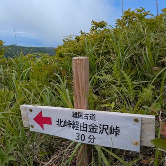 金沢峠方面へ