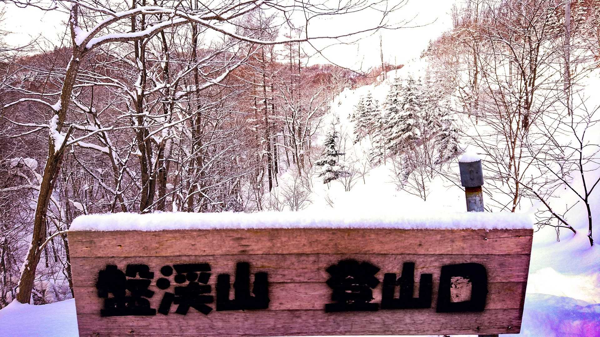 盤渓山 往復コースの写真