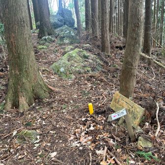 奥が鹿島山。この分岐を和市の方へ帰ります