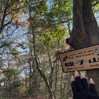 とにかく気持ちのいい尾根歩き
サクサクとピークゲット🚩