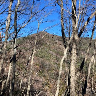 振り返って天上山