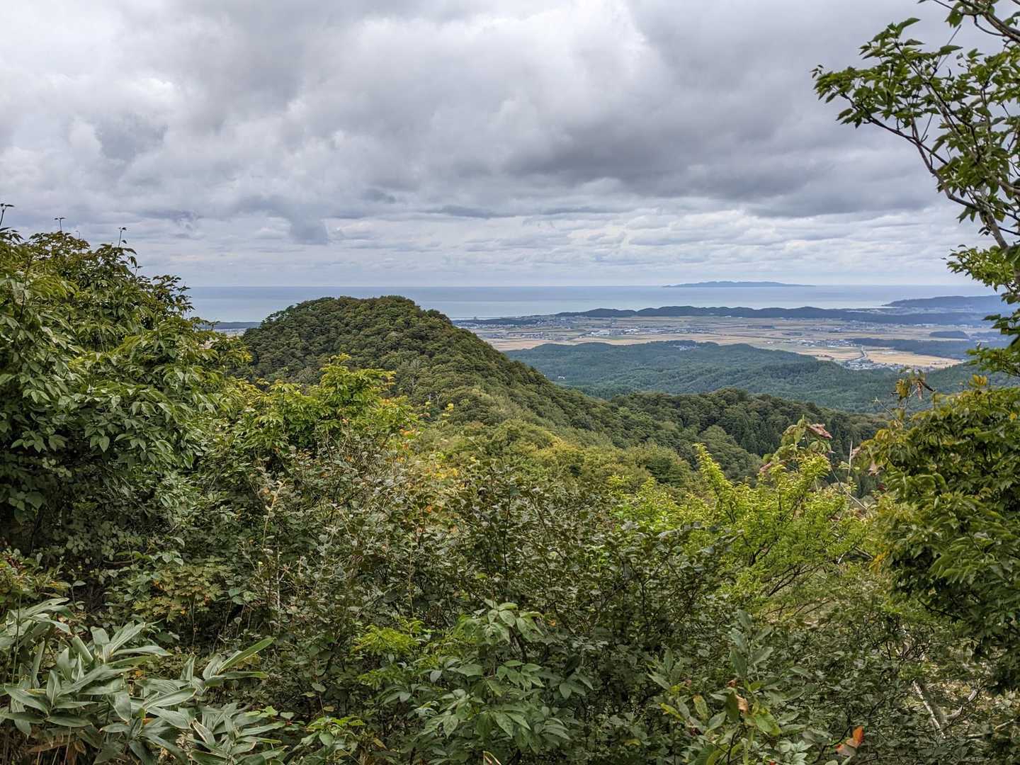 朴坂山登山口-朴坂山 往復コースの写真