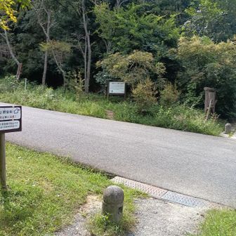 交野山頂への取り付きにゃ