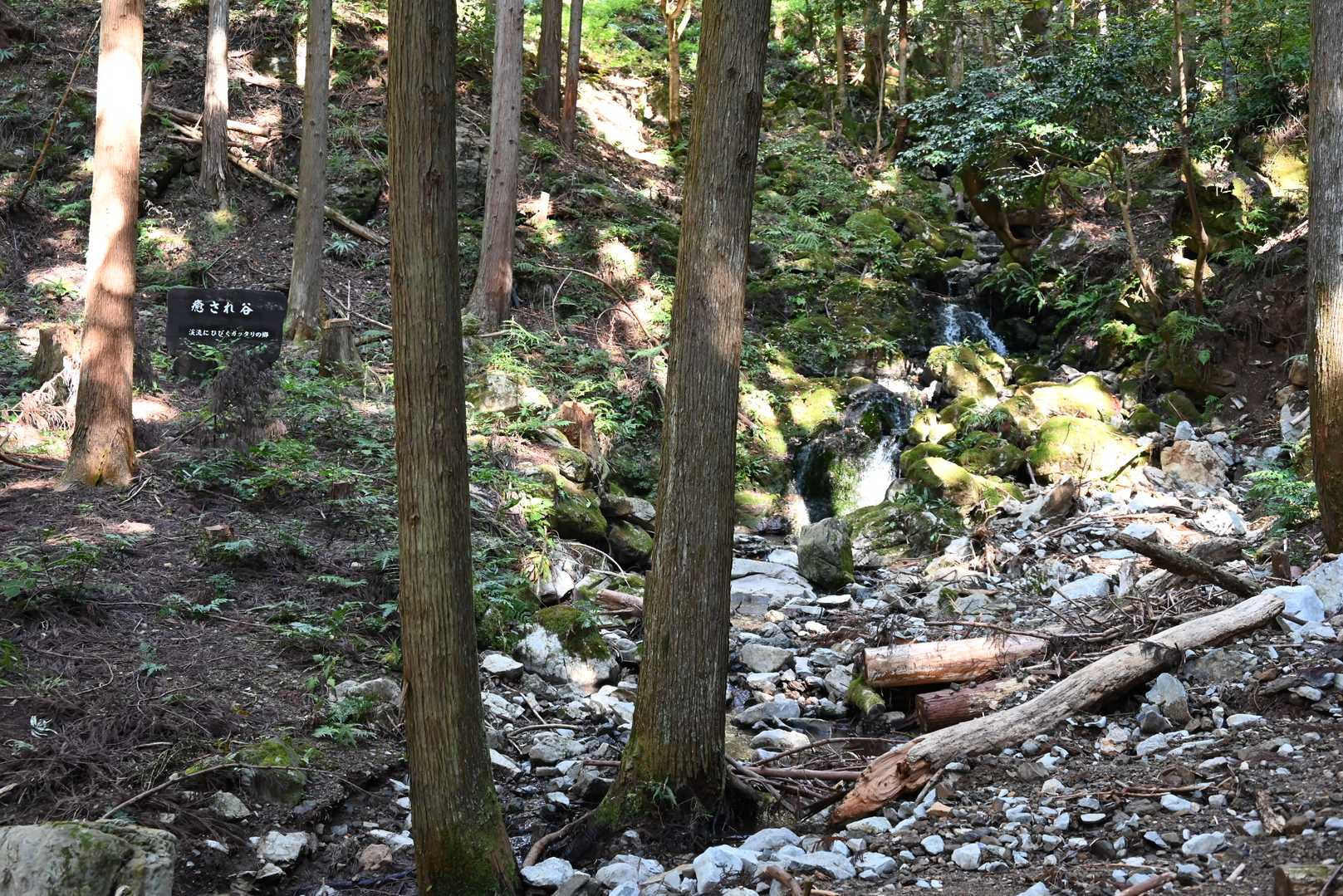 突如、癒され谷の看板　
右奥に流れてます　
緊張がほぐれました～ﾎｯ・・・
そして、ここは「愛一本道」というネーミングのハイキングコースになってます