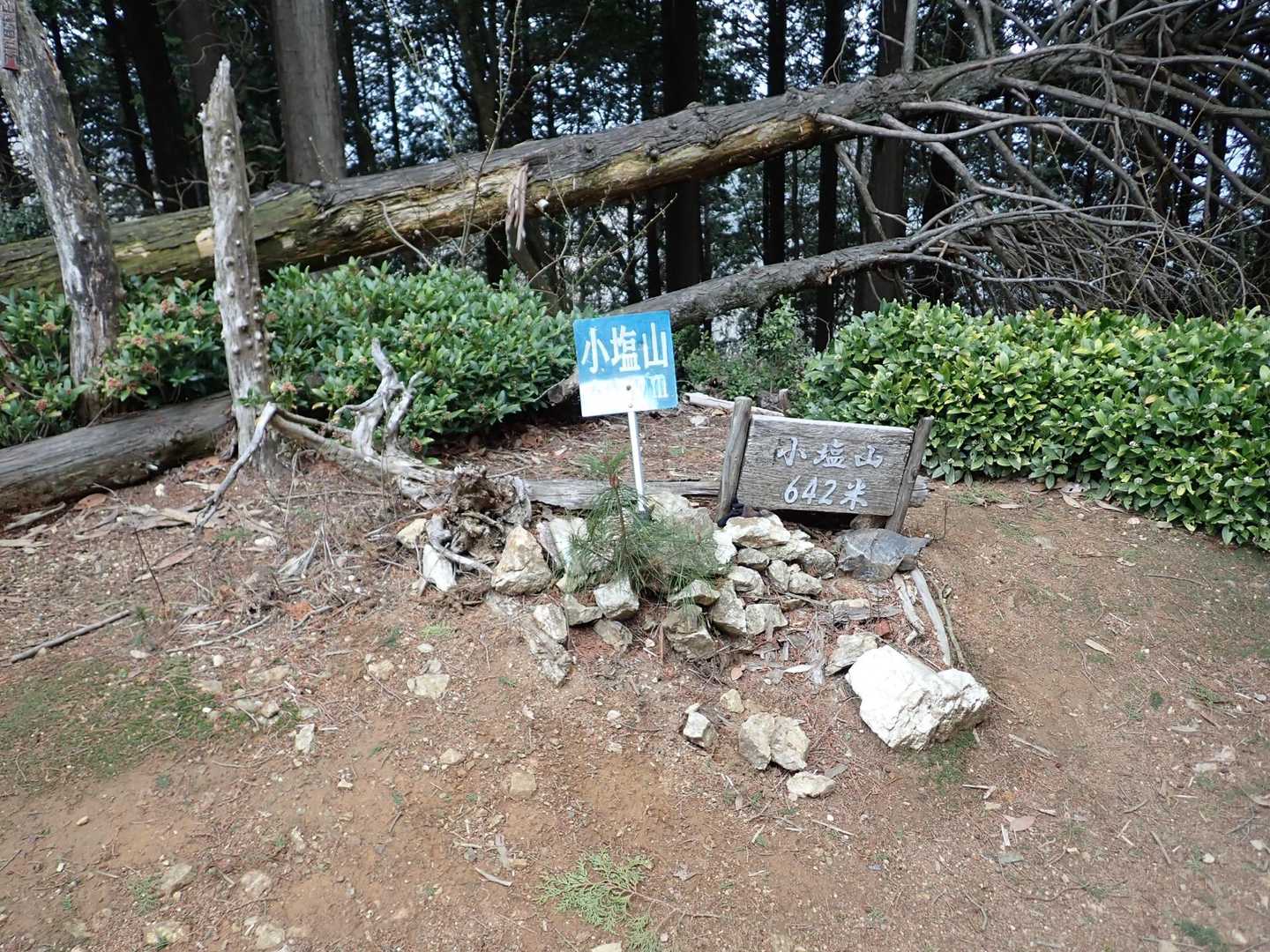 いきなり山頂⛰️

森の案内所駐車場が午前9時からの開場だったので石場駐車場🅿️に置いてクライムオン❓
