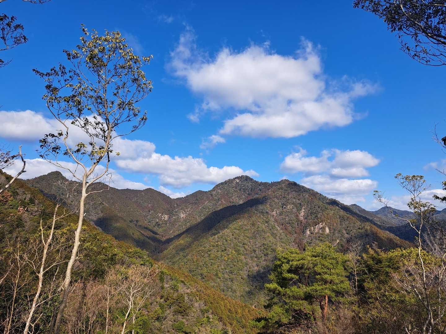 奥山