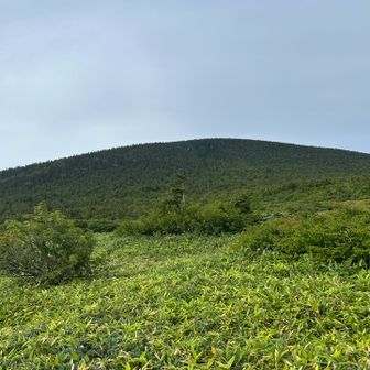 東吾妻山