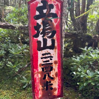 ある理由で一般登山道にしてないんだろうな…