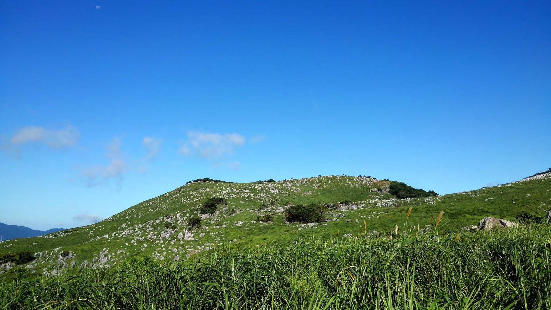 今度は大平山と思いながら